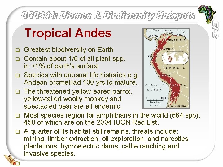 Tropical Andes q q q q Greatest biodiversity on Earth Contain about 1/6 of