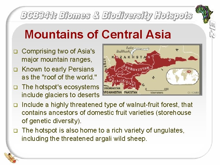 Mountains of Central Asia q q q Comprising two of Asia's major mountain ranges,
