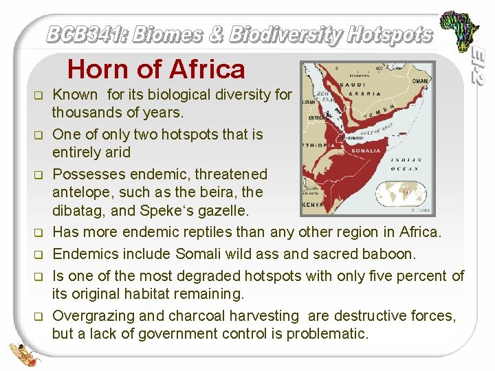 Horn of Africa q q q q Known for its biological diversity for thousands