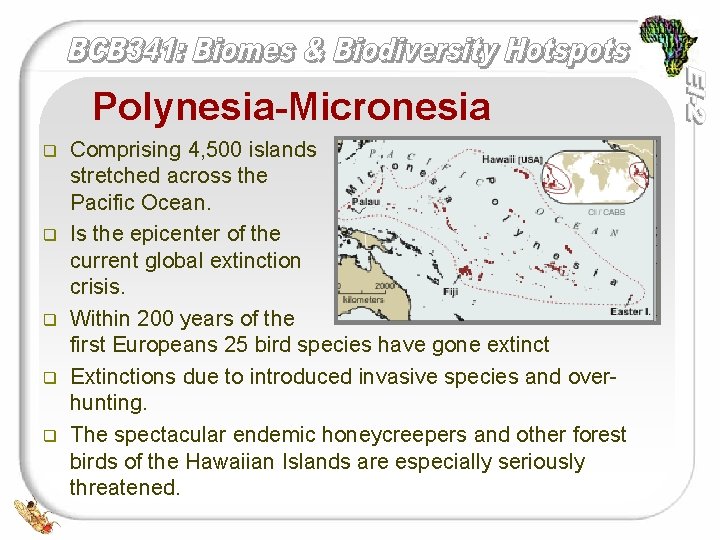 Polynesia-Micronesia q q q Comprising 4, 500 islands stretched across the southern Pacific Ocean.