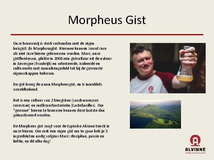 Morpheus Gist Onze brouwerij is sterk verbonden met de eigen huisgist: de Morpheusgist. Hiermee