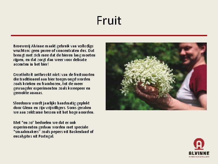 Fruit Brouwerij Alvinne maakt gebruik van volledige vruchten: geen puree of concentraten dus. Dat