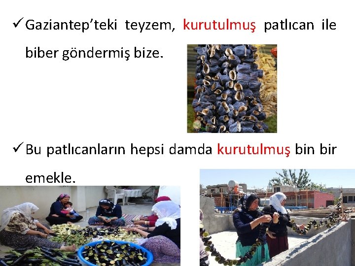 ü Gaziantep’teki teyzem, kurutulmuş patlıcan ile biber göndermiş bize. ü Bu patlıcanların hepsi damda