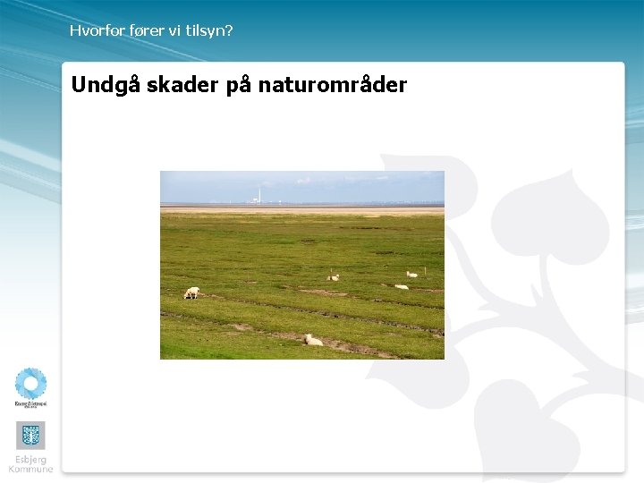 Hvorfor fører vi tilsyn? Undgå skader på naturområder 
