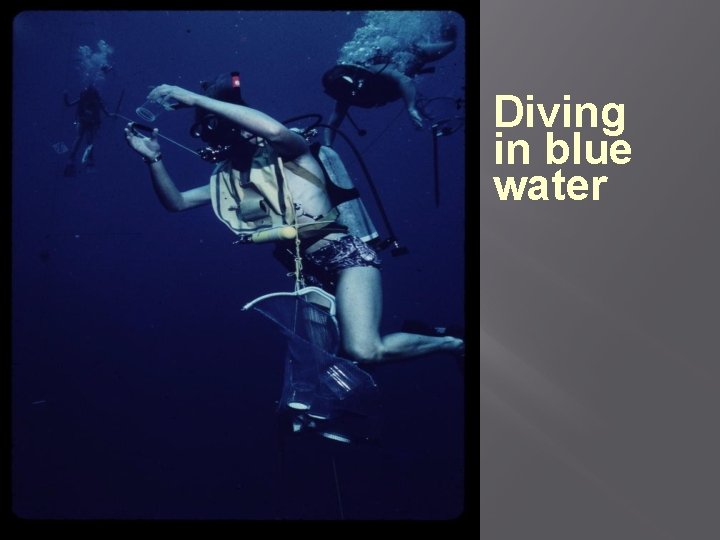 Diving in blue water 