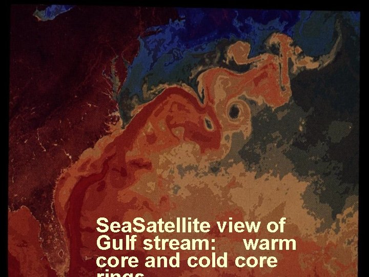 Sea. Satellite view of Gulf stream: warm core and cold core 