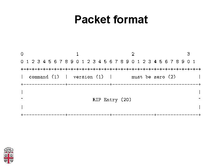 Packet format 