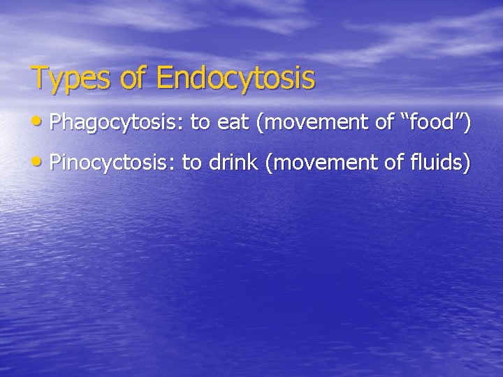 Types of Endocytosis • Phagocytosis: to eat (movement of “food”) • Pinocyctosis: to drink