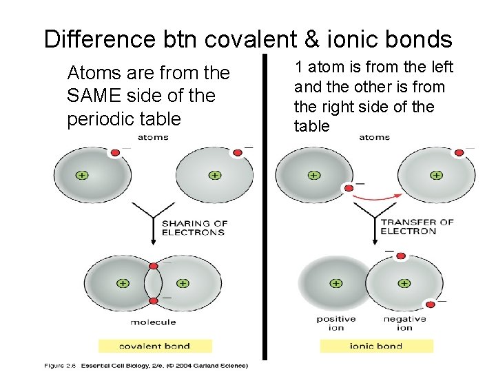 Difference btn covalent & ionic bonds Atoms are from the SAME side of the