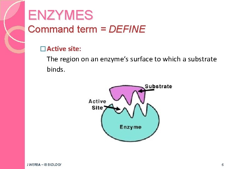 ENZYMES Topic 3 6 IB Biology Miss Werba