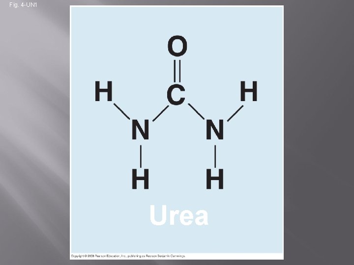 Fig. 4 -UN 1 Urea 