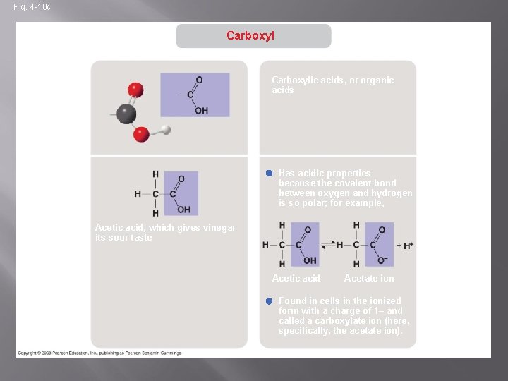 Fig. 4 -10 c Carboxyl STRUCTURE Carboxylic acids, or organic acids EXAMPLE Has acidic
