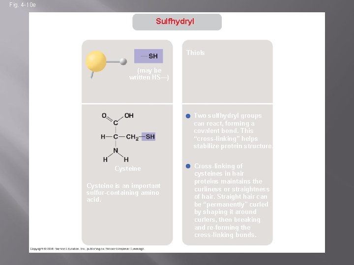 Fig. 4 -10 e Sulfhydryl STRUCTURE Thiols NAME OF COMPOUND (may be written HS—)