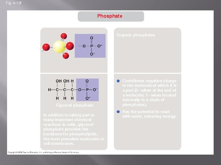 Fig. 4 -10 f Phosphate STRUCTURE Organic phosphates EXAMPLE Glycerol phosphate In addition to