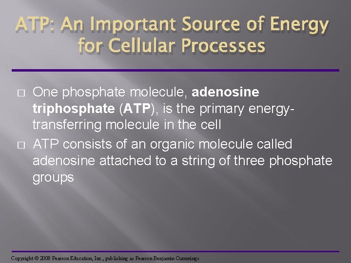 ATP: An Important Source of Energy for Cellular Processes � � One phosphate molecule,