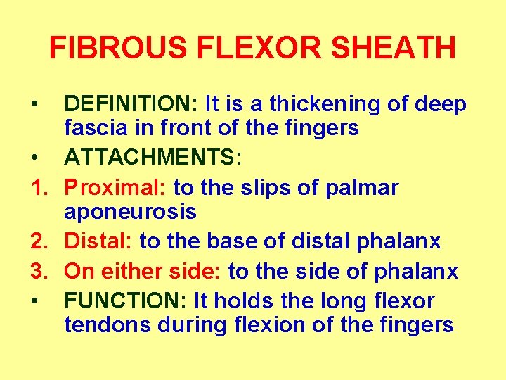 FIBROUS FLEXOR SHEATH • DEFINITION: It is a thickening of deep fascia in front