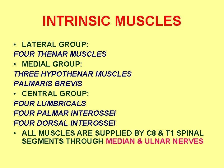 INTRINSIC MUSCLES • LATERAL GROUP: FOUR THENAR MUSCLES • MEDIAL GROUP: THREE HYPOTHENAR MUSCLES