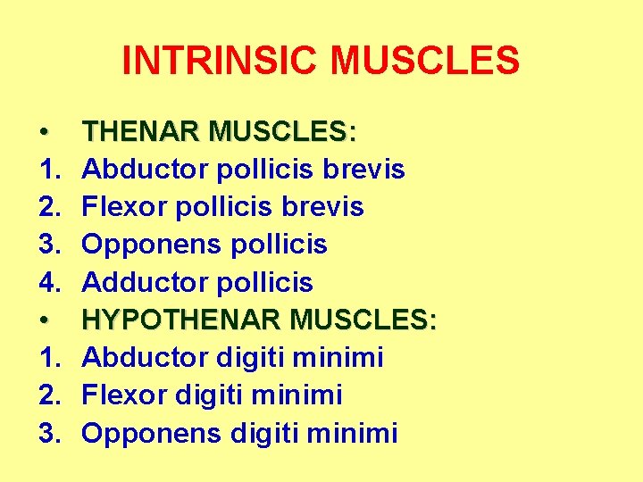 INTRINSIC MUSCLES • 1. 2. 3. 4. • 1. 2. 3. THENAR MUSCLES: Abductor