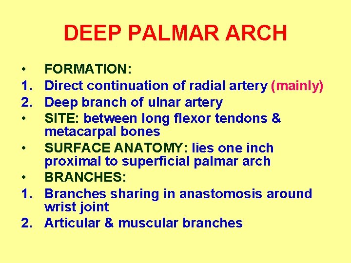 DEEP PALMAR ARCH • 1. 2. • FORMATION: Direct continuation of radial artery (mainly)