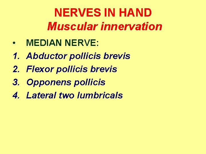 NERVES IN HAND Muscular innervation • 1. 2. 3. 4. MEDIAN NERVE: Abductor pollicis