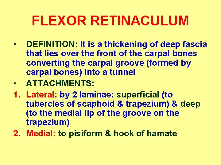 FLEXOR RETINACULUM • DEFINITION: It is a thickening of deep fascia that lies over