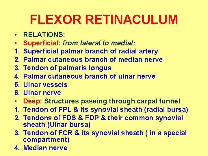 FLEXOR RETINACULUM • • 1. 2. 3. 4. 5. 6. • 1. 2. RELATIONS: