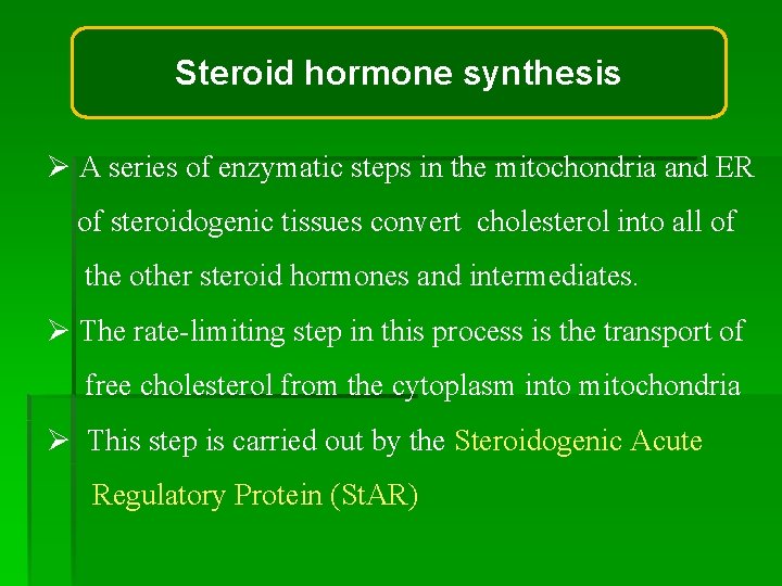 Steroid hormone synthesis Ø A series of enzymatic steps in the mitochondria and ER Steroid hormone synthesis Ø A series of enzymatic steps in the mitochondria and ER