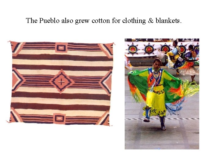 The Pueblo also grew cotton for clothing & blankets. 