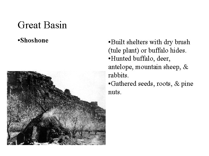 Great Basin • Shoshone • Built shelters with dry brush (tule plant) or buffalo