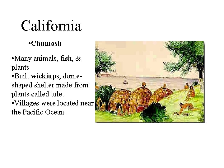 California • Chumash • Many animals, fish, & plants • Built wickiups, domeshaped shelter