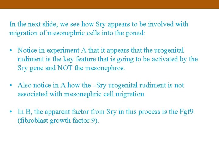 In the next slide, we see how Sry appears to be involved with migration
