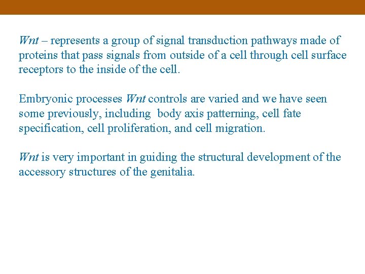 Wnt – represents a group of signal transduction pathways made of proteins that pass