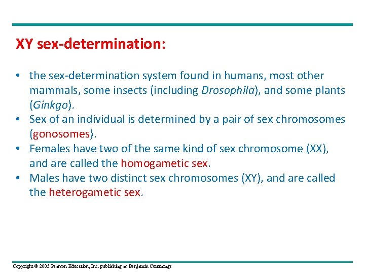 XY sex-determination: • the sex-determination system found in humans, most other mammals, some insects