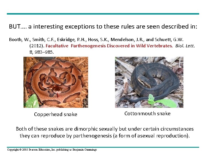 BUT…. a interesting exceptions to these rules are seen described in: Booth, W. ,
