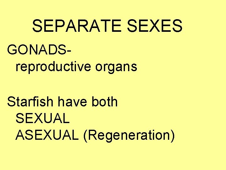 SEPARATE SEXES GONADSreproductive organs Starfish have both SEXUAL ASEXUAL (Regeneration) 