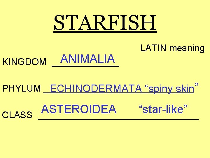 STARFISH ANIMALIA KINGDOM _______ LATIN meaning PHYLUM _______________ ECHINODERMATA “spiny skin” CLASS ASTEROIDEA “star-like”