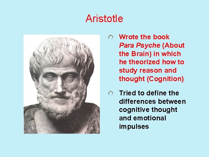 Aristotle Wrote the book Para Psyche (About the Brain) in which he theorized how