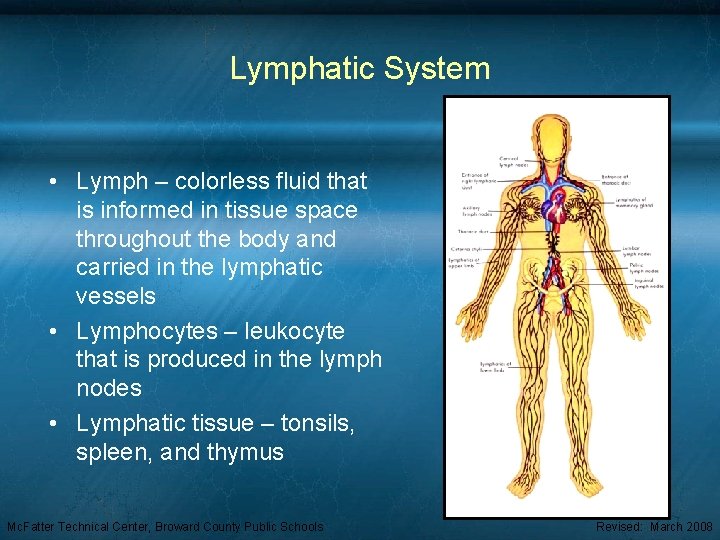 Lymphatic System • Lymph – colorless fluid that is informed in tissue space throughout
