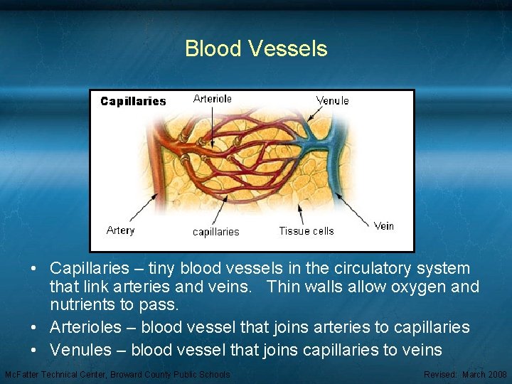 Blood Vessels • Capillaries – tiny blood vessels in the circulatory system that link