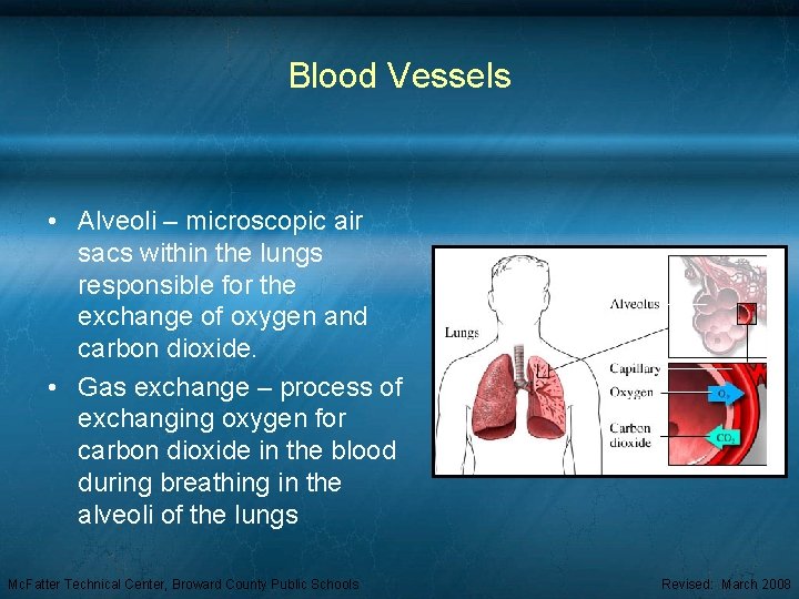 Blood Vessels • Alveoli – microscopic air sacs within the lungs responsible for the