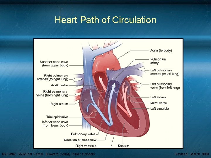 Heart Path of Circulation Mc. Fatter Technical Center, Broward County Public Schools Revised: March