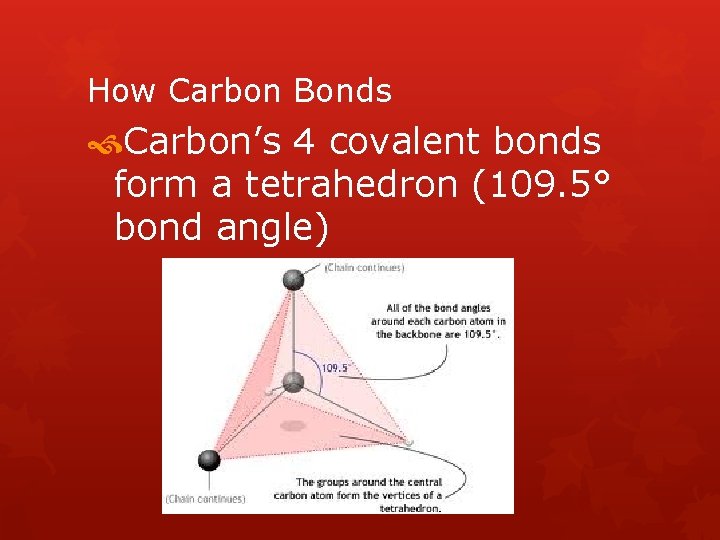 How Carbon Bonds Carbon’s 4 covalent bonds form a tetrahedron (109. 5° bond angle)