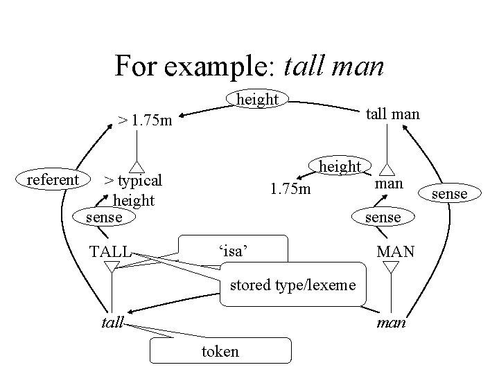 For example: tall man height tall man > 1. 75 m referent height >