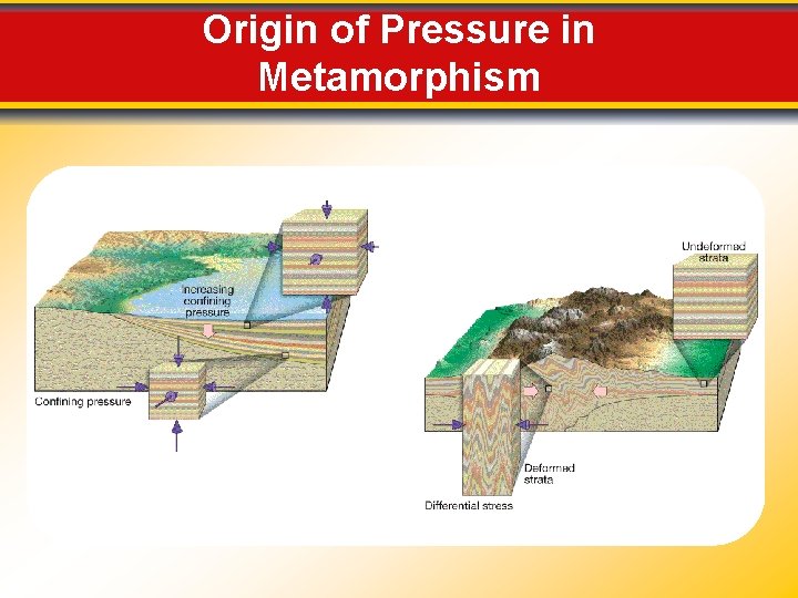 Origin of Pressure in Metamorphism 