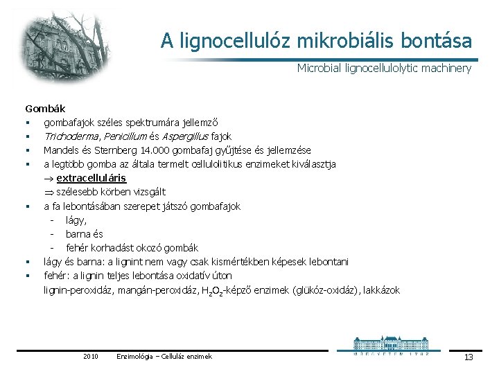 A lignocellulóz mikrobiális bontása Microbial lignocellulolytic machinery Gombák § gombafajok széles spektrumára jellemző §