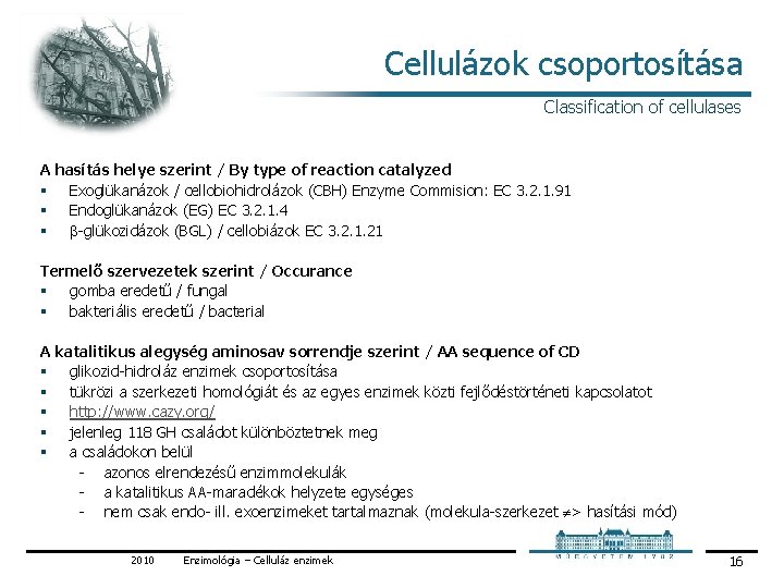 Cellulázok csoportosítása Classification of cellulases A hasítás helye szerint / By type of reaction