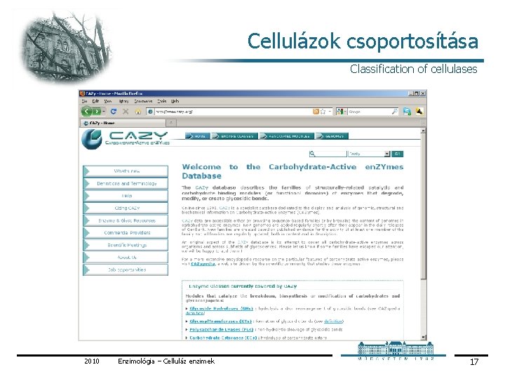 Cellulázok csoportosítása Classification of cellulases 2010 Enzimológia – Celluláz enzimek 17 