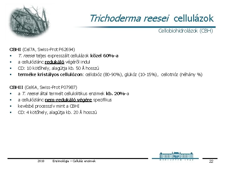 Trichoderma reesei cellulázok Cellobiohidrolázok (CBH) CBHI (Cel 7 A, Swiss Prot P 62694) §