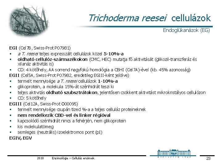 Trichoderma reesei cellulázok Endoglükanázok (EG) EGI (Cel 7 B, Swiss Prot P 07981) §