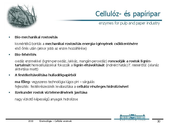 Cellulóz és papíripar enzymes for pulp and paper industry § Bio-mechanikai rostosítás kismértékű bontás
